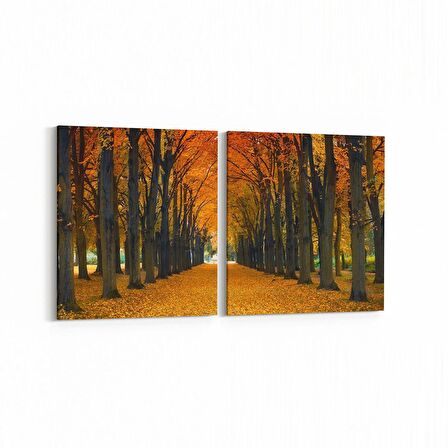 Olla 14026K2Y Doğa / Manzara Görseli Kare 2'li Yatay Kanvas Tablo (Ölçü: 145X70)