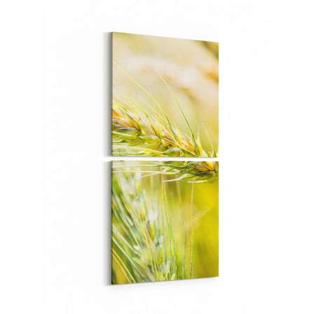 Olla 13670K2D Doğa / Manzara Görseli Kare 2'li Dikey Kanvas Tablo (Ölçü: 30X65)