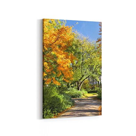 Olla 13272D Doğa / Manzara Görseli Dikey Kanvas Tablo (Ölçü: 60X90)