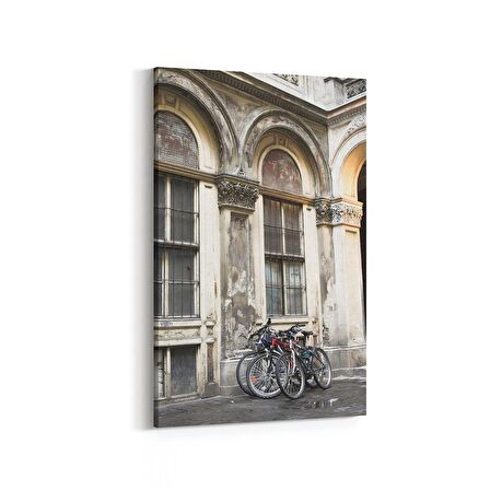 Olla 17999D Yapı Görseli Dikey Kanvas Tablo (Ölçü: 20X30)