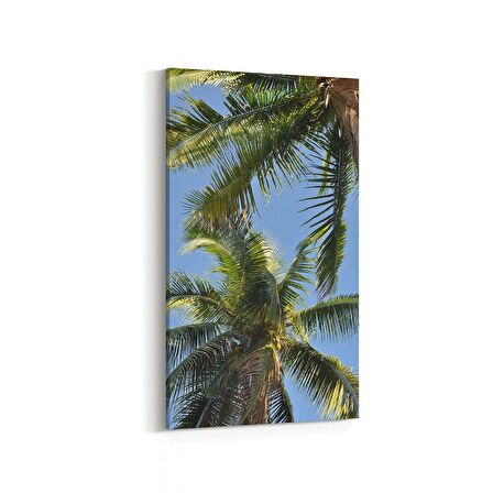 Olla 11526DD Palmiye Ağacı Görseli Dikey Dar Kanvas Tablo (Ölçü: 40X80)