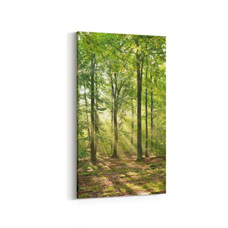Olla 13599DD Doğa / Manzara Görseli Dikey Dar Kanvas Tablo (Ölçü: 30X60)
