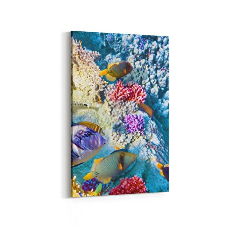 Olla 12131D Akvaryum / Balık Görseli Dikey Kanvas Tablo (Ölçü: 100X150)