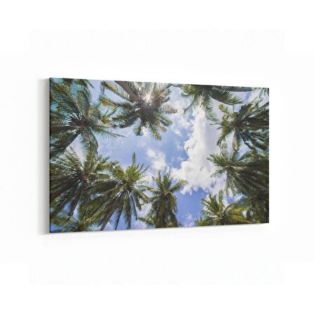 Olla 11511Y Palmiye Ağacı Görseli Yatay Kanvas Tablo (Ölçü: 90X60)