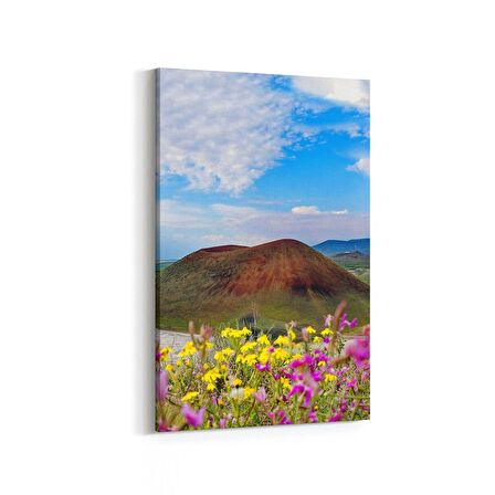 Olla 14353D Doğa / Manzara Görseli Dikey Kanvas Tablo (Ölçü: 100X150)