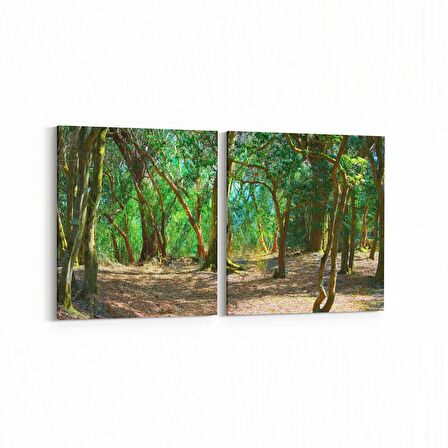 Olla 13679K2Y Doğa / Manzara Görseli Kare 2'li Yatay Kanvas Tablo (Ölçü: 125X60)