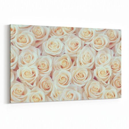 Olla 11632Y Çiçek Görseli Yatay Kanvas Tablo (Ölçü: 150X100)