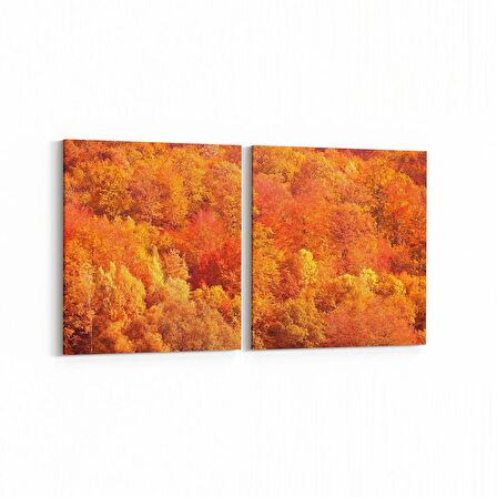 Olla 14303K2Y Doğa / Manzara Görseli Kare 2'li Yatay Kanvas Tablo (Ölçü: 125X60)