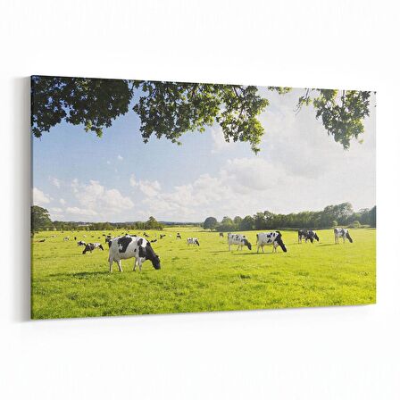 Olla 12564Y Hayvanlar Alemi Görseli Yatay Kanvas Tablo (Ölçü: 70X50)