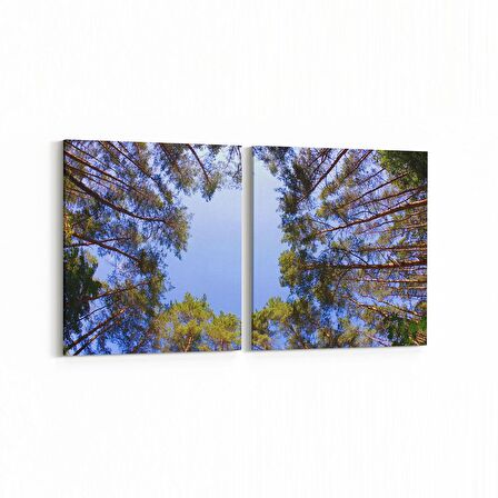 Olla 11042K2Y Ağaç Görseli Kare 2'li Yatay Kanvas Tablo (Ölçü: 125X60)