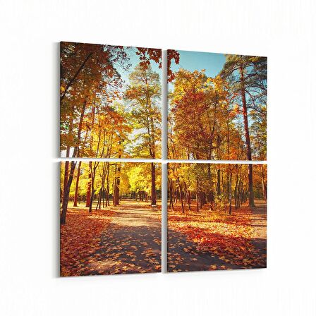 Olla 13740K4 Doğa / Manzara Görseli Kare 4'lü Kanvas Tablo (Ölçü: 145X145)