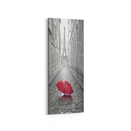 Olla 18281DI Yapı Görseli Dikey İnce Kanvas Tablo (Ölçü: 40X120)