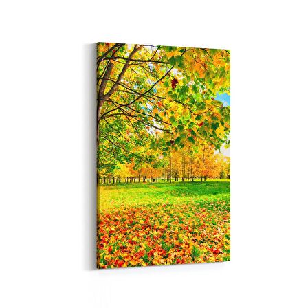 Olla 13174D Doğa / Manzara Görseli Dikey Kanvas Tablo (Ölçü: 100X150)