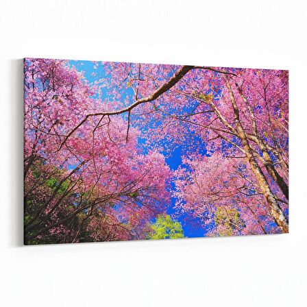 Olla 10587Y Ağaç Görseli Yatay Kanvas Tablo (Ölçü: 45X30)