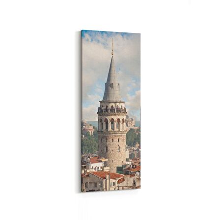 Olla 17919DI Yapı Görseli Dikey İnce Kanvas Tablo (Ölçü: 40X120)