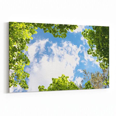 Olla 10872Y Ağaç Görseli Yatay Kanvas Tablo (Ölçü: 45X30)
