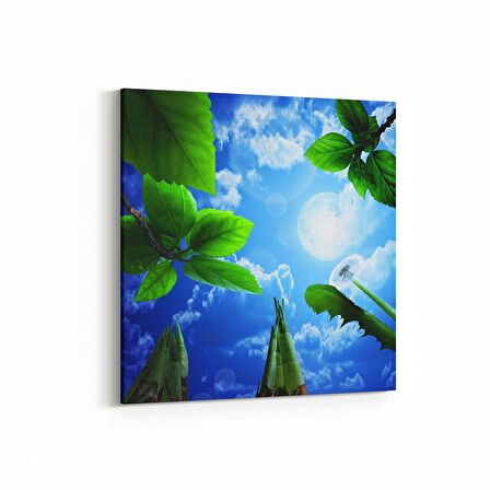 Olla 10719K Ağaç Görseli Kare Kanvas Tablo (Ölçü: 25X25)