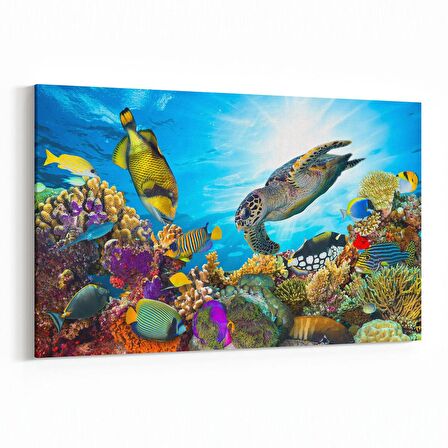 Olla 12133Y Akvaryum / Balık Görseli Yatay Kanvas Tablo (Ölçü: 90X60)