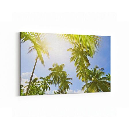 Olla 11524Y Palmiye Ağacı Görseli Yatay Kanvas Tablo (Ölçü: 150X100)
