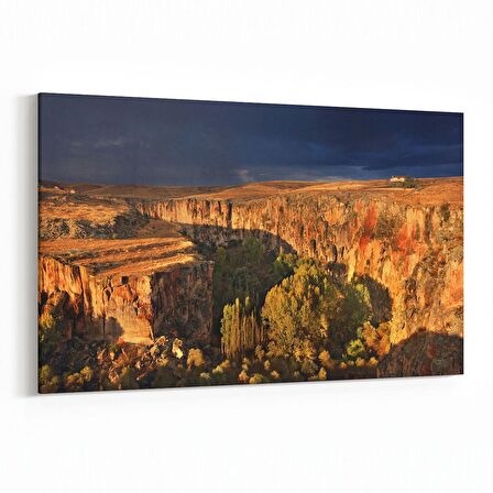 Olla 14474Y Doğa / Manzara Görseli Yatay Kanvas Tablo (Ölçü: 45X30)