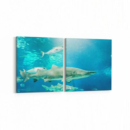 Olla 12896K2Y Deniz / Okyanus Görseli Kare 2'li Yatay Kanvas Tablo (Ölçü: 85X40)