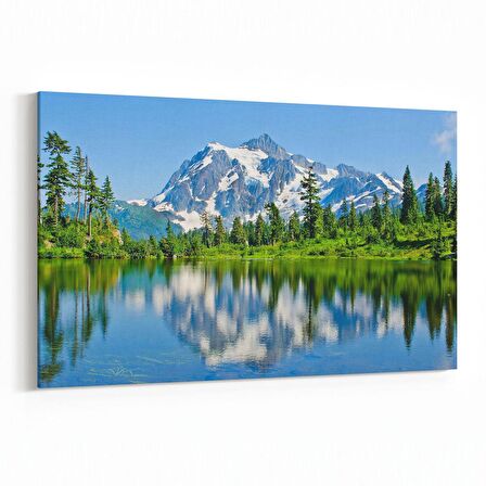Olla 13319Y Doğa / Manzara Görseli Yatay Kanvas Tablo (Ölçü: 30X20)