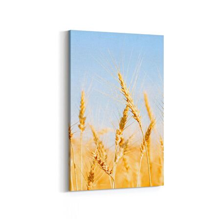 Olla 15291D Gıda Görseli Dikey Kanvas Tablo (Ölçü: 40X60)