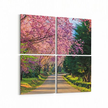 Olla 13984K4 Doğa / Manzara Görseli Kare 4'lü Kanvas Tablo (Ölçü: 145X145)