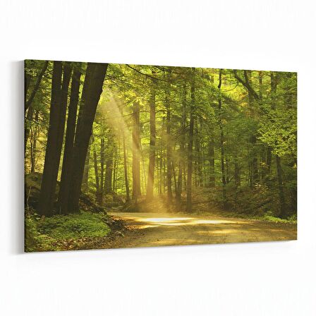 Olla 14045Y Doğa / Manzara Görseli Yatay Kanvas Tablo (Ölçü: 120X80)