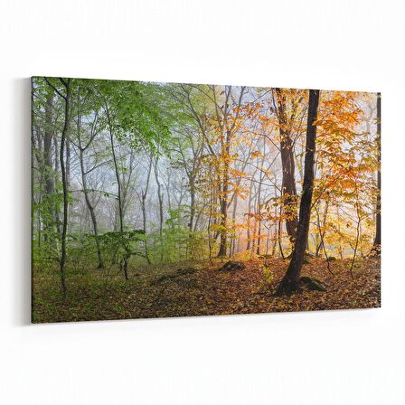 Olla 13704Y Doğa / Manzara Görseli Yatay Kanvas Tablo (Ölçü: 45X30)