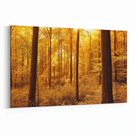 Olla 14337Y Doğa / Manzara Görseli Yatay Kanvas Tablo (Ölçü: 120X80)