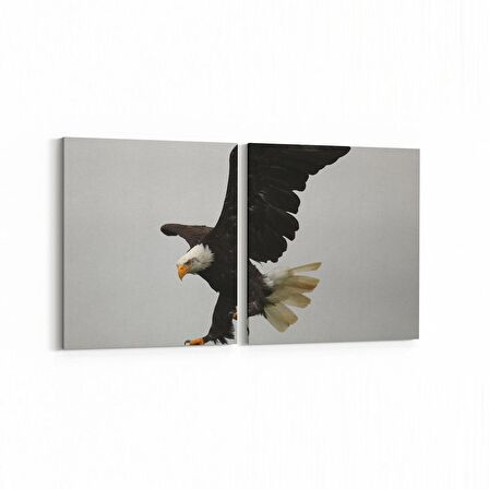 Olla 12526K2Y Hayvanlar Alemi Görseli Kare 2'li Yatay Kanvas Tablo (Ölçü: 85X40)