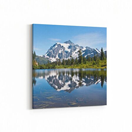 Olla 14100K Doğa / Manzara Görseli Kare Kanvas Tablo (Ölçü: 25X25)