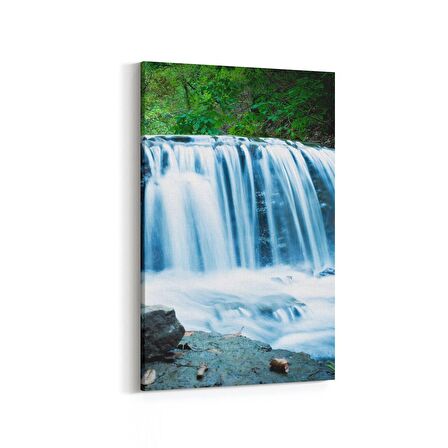 Olla 14565D Doğa / Manzara Görseli Dikey Kanvas Tablo (Ölçü: 100X150)