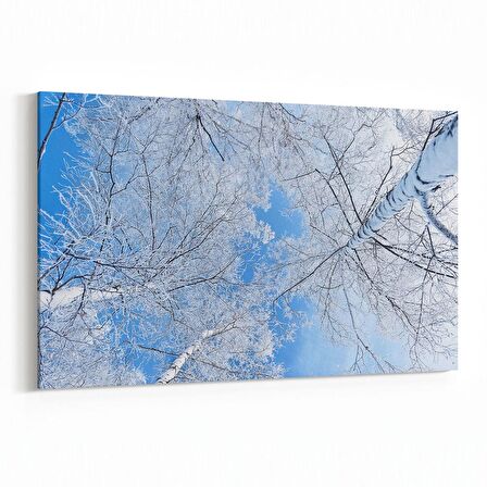 Olla 10623Y Ağaç Görseli Yatay Kanvas Tablo (Ölçü: 70X50)