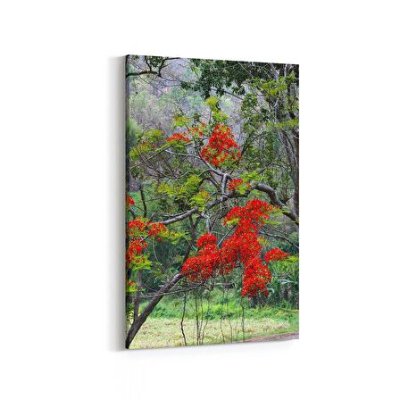 Olla 13446D Doğa / Manzara Görseli Dikey Kanvas Tablo (Ölçü: 100X150)