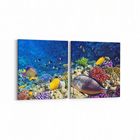 Olla 12065K2Y Akvaryum / Balık Görseli Kare 2'li Yatay Kanvas Tablo (Ölçü: 125X60)