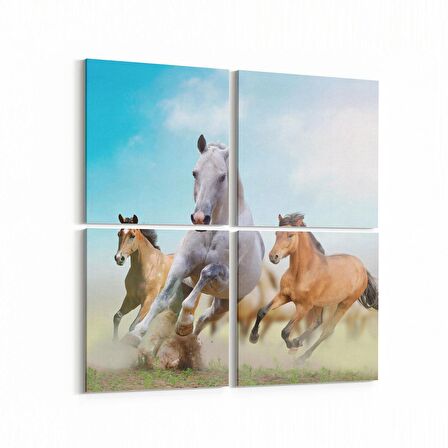 Olla 12483K4 Hayvanlar Alemi Görseli Kare 4'lü Kanvas Tablo (Ölçü: 145X145)