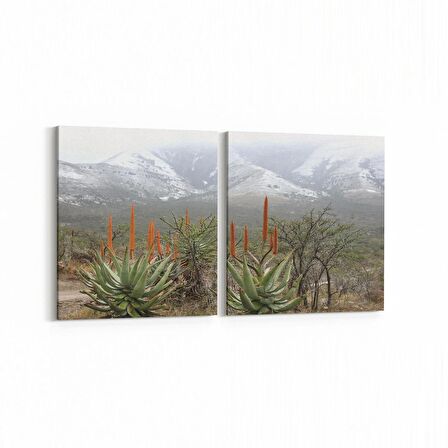 Olla 14220K2Y Doğa / Manzara Görseli Kare 2'li Yatay Kanvas Tablo (Ölçü: 105X50)