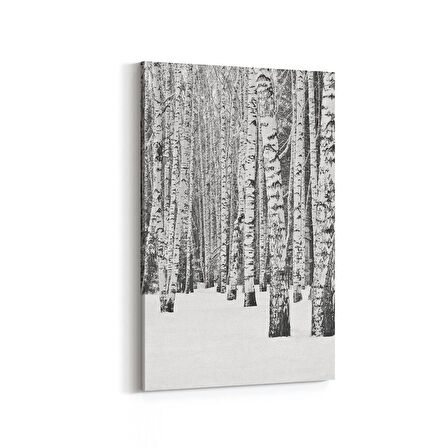 Olla 13317D Doğa / Manzara Görseli Dikey Kanvas Tablo (Ölçü: 100X150)