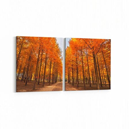 Olla 14487K2Y Doğa / Manzara Görseli Kare 2'li Yatay Kanvas Tablo (Ölçü: 65X30)
