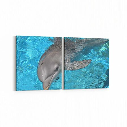 Olla 12902K2Y Deniz / Okyanus Görseli Kare 2'li Yatay Kanvas Tablo (Ölçü: 85X40)