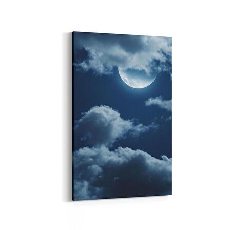 Olla 14862D Gece Gökyüzü Görseli Dikey Kanvas Tablo (Ölçü: 60X90)
