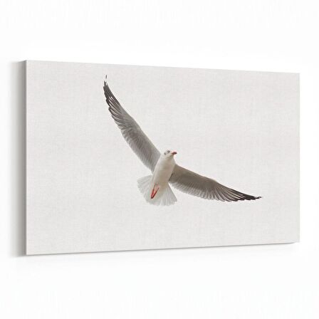 Olla 12639Y Hayvanlar Alemi Görseli Yatay Kanvas Tablo (Ölçü: 70X50)