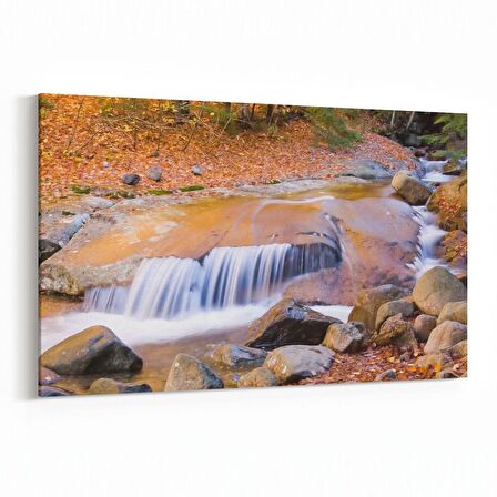 Olla 13722Y Doğa / Manzara Görseli Yatay Kanvas Tablo (Ölçü: 120X80)