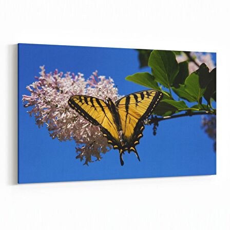 Olla 11049Y Ağaç Görseli Yatay Kanvas Tablo (Ölçü: 70X50)