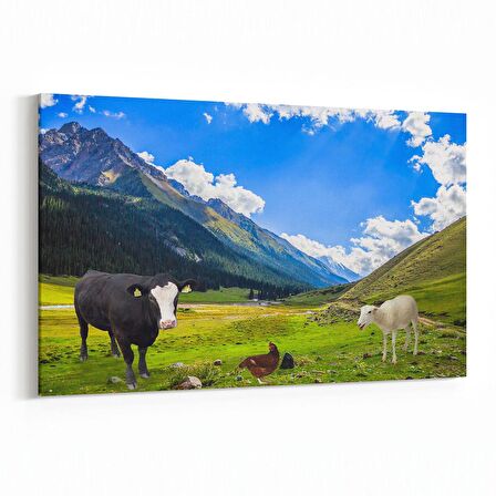 Olla 12626Y Hayvanlar Alemi Görseli Yatay Kanvas Tablo (Ölçü: 150X100)