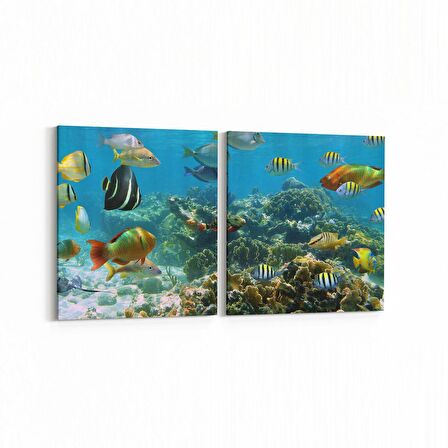 Olla 12071K2Y Akvaryum / Balık Görseli Kare 2'li Yatay Kanvas Tablo (Ölçü: 65X30)