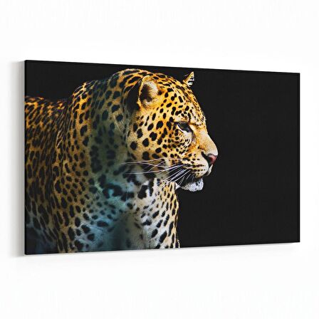 Olla 12602Y Hayvanlar Alemi Görseli Yatay Kanvas Tablo (Ölçü: 45X30)