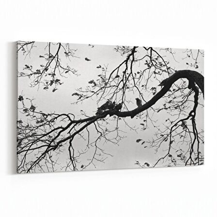 Olla 11037Y Ağaç Görseli Yatay Kanvas Tablo (Ölçü: 150X100)